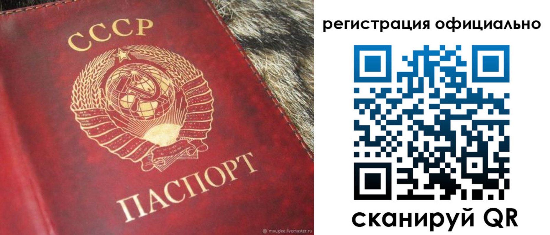временная регистрация надежно в Сургуте
